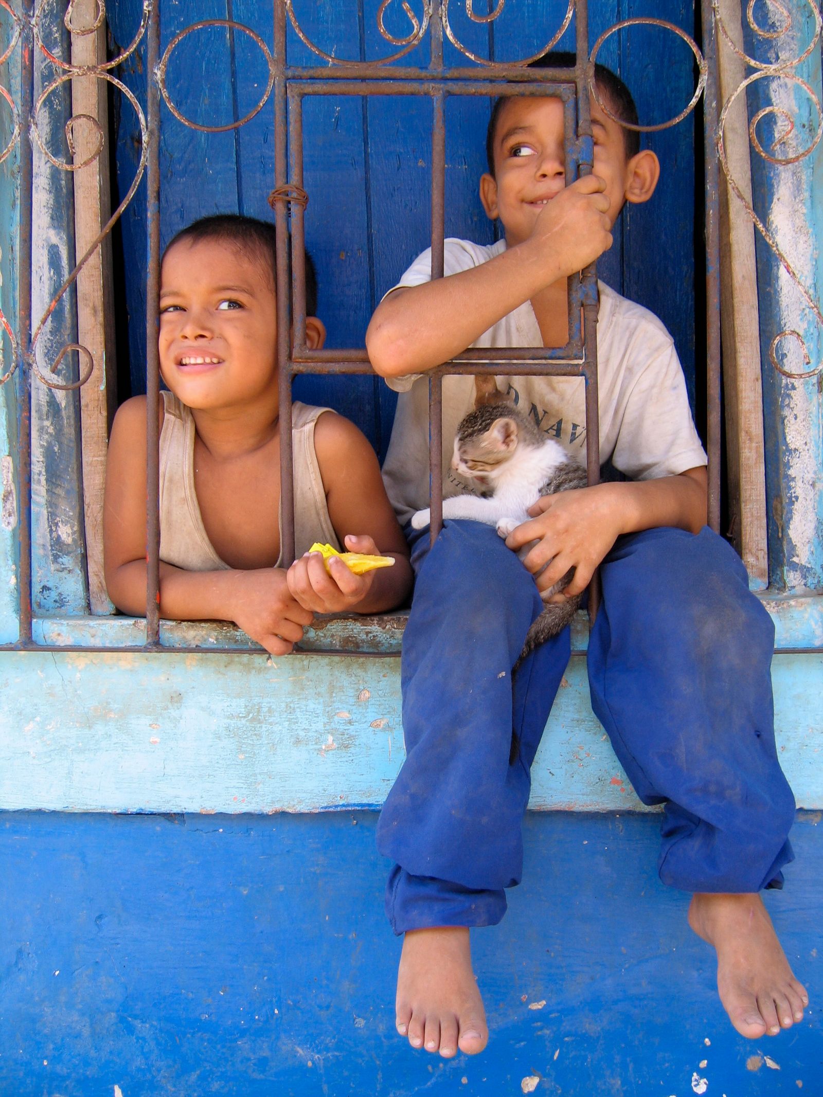 Two boys and a kitten at a blue barred window